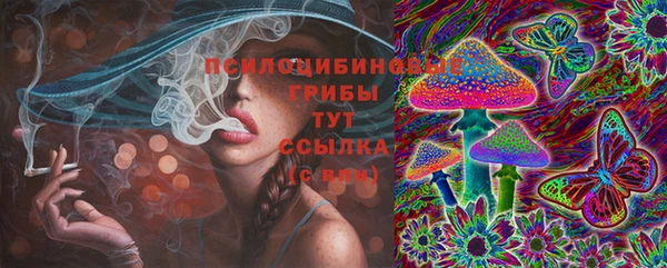стаф Алексеевка