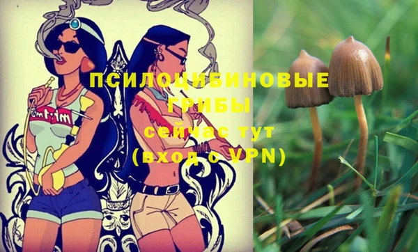 стаф Алексеевка