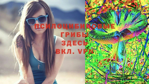 кокс Алзамай