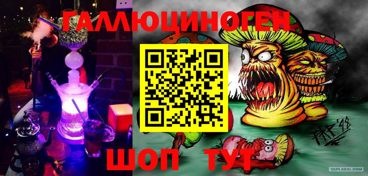 Галлюциногенные грибы Psilocybe Заинск